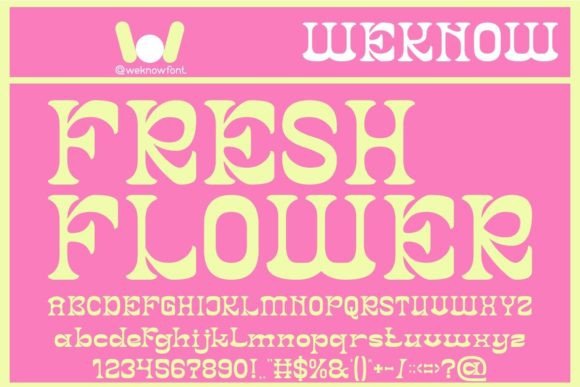 Fresh Flower Font: A Designer’s Practical Review